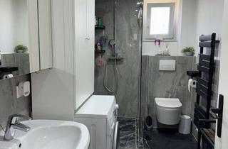 Wohnung mieten in Schneidersberg, 74858 Aglasterhausen, Moderne 2-Zimmer-Wohnung nach kompletter Sanierung mit Einbauküche & Stellplatz