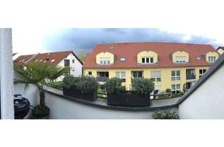 Wohnung mieten in 68723 Schwetzingen, Schwetzingen-Schälzig 2,5-Z-DG-Maisonette-Wohnung