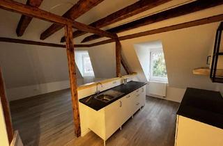 Lofts mieten in Kurfürstenstraße 20, 68723 Schwetzingen, Stilvolles Wohnen über den Dächern der Stadt: Kernsaniertes Loft-Juwel mit Garage & Einbauküche