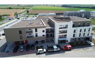 Wohnung mieten in Die Landwehr 1 b, 61138 Niederdorfelden, Helle 1-Zimmer Wohnung in Niederdorfelden zu vermieten!