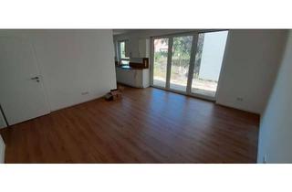 Wohnung mieten in Köhnenhöhe 2a, 29308 Winsen, Erstbezug: 2,5-Zimmer-Neubau in Winsen (Aller)