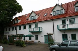 Wohnung mieten in Alte Dorfstraße 1c, 01665 Klipphausen, Kleine , praktische Single Wohnung mit Küche und Dusche zu vermieten