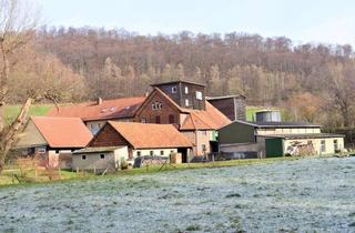 Haus kaufen in 31084 Freden, Hofstelle mit bis zu 6ha Land-Pferdehaltung/Hofcafe´/2-4 WE alles denkbar