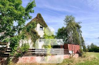 Haus kaufen in 95186 Höchstädt, naturnah und gemütlich