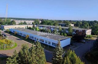 Büro zu mieten in 01968 Senftenberg, Büro, Schulung, Produktion, Lager mit Freiflächen in Senftenberg