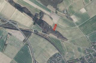 Grundstück zu kaufen in 38685 Langelsheim, Ackerfläche bei Langelsheim