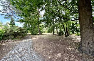 Grundstück zu kaufen in 15537 Grünheide, 1.321 m² Grundstück in Grünheide – Grundstück mit vielfältigen Bebauungsperspektiven