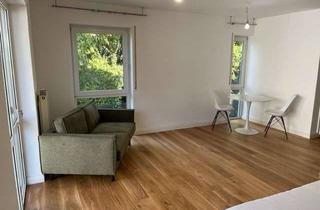 Immobilie mieten in Wingertstraße 30d, 65203 Biebrich, Möbliertes 1 Zimmer Appartement