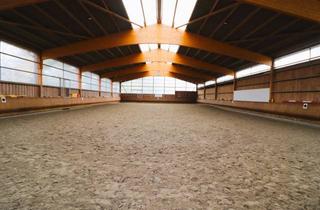 Lager kaufen in 07646 Stadtroda, Große Reitanlage mit Eventhalle bei Stadtroda zu verkaufen