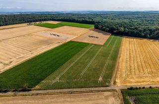 Gewerbeimmobilie kaufen in 61197 Florstadt, Ackerfläche mit 2,0873 ha