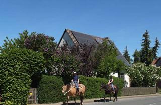 Haus kaufen in Teichwiese, 38170 Uehrde, Familienhaus auf dem Lande sehr ruhige Lage am Naturschutzgebiet/Feldrand