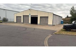 Gewerbeimmobilie mieten in Im Nördenfeld, 31167 Bockenem, Kaltlagerhalle mit vier Toren