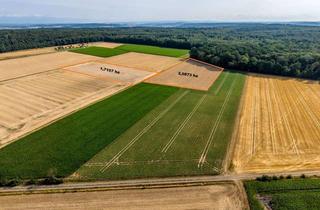 Immobilie kaufen in 61197 Florstadt, Ackerfläche mit 2,0873 ha