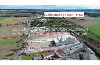 Gewerbeimmobilie kaufen in Dresdener Straße 74, 04808 Wurzen, Produktionshalle auf großem BAUGRUNDSTÜCK