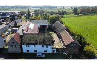 Haus kaufen in 06766 Bobbau, Bobbau - GERÄUMIGER 4 - SEITENHOF INKL. SANIERUNGSFAHRPLAN