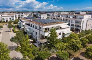 Penthouse kaufen in 79189 Bad Krozingen, 2-Zimmer-Penthouse nahe Kurpark