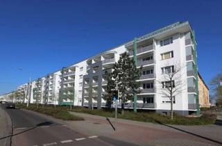 Wohnung mieten in Askanische Straße 74, 06842 Innenstadt, 1-RWE im Zentrum