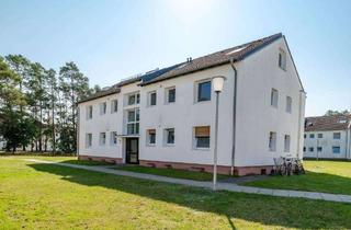 Wohnung mieten in Beckstraße, 29223 Celle, 1-Zimmer-Dachgeschosswohnung mit neuem Laminatboden in Celle!