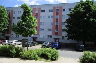 Wohnung mieten in Robert-Koch-Str. 34, 17036 Neubrandenburg, Rober-Koch-Straße 34 (Parkanlage Ihlenpool), EG, sonnig, renoviert