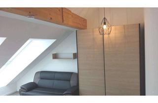 Wohnung mieten in Willy-Brandt-Straße 19c, 64354 Reinheim, 2-Zimmer Studio Appartements über den Dächern der Stadt