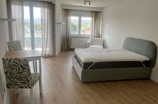 Wohnung mieten in Am Salzpfad 21, 61381 Friedrichsdorf, frisch renovierte, möblierte. 1 Zi Whg am Feld, Burgholzhausen