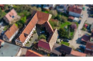Haus kaufen in 65468 Trebur, Historische Hofreite mit einzigartigem Entwicklungspotenzial im Herzen von Trebur
