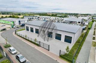 Gewerbeimmobilie mieten in 61130 Nidderau, SOFORT VERFÜGBAR ✓ NEUBAU / ERSTBEZUG ✓ Lager (500 m²) zu vermieten