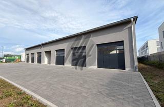 Gewerbeimmobilie mieten in 61130 Nidderau, NEUBAU / ERSTBEZUG ✓ SCHNELL VERFÜGBAR ✓ Lagerflächen (710 m²) zu vermieten