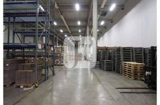 Büro zu mieten in 21129 Waltershof, ca. 7.502 m² Lager-/Logistikflächen sowie ca. 127 m² Büro in einem Gewerbepark