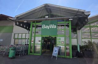 Gewerbeimmobilie mieten in Hermann-Bauer-Str. 10, 74336 Brackenheim, Ehemaliger Bau- und Gartenmarkt zu vermieten