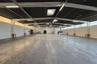 Gewerbeimmobilie mieten in 22113 Billbrook, Rampenlager zur Miete ab Januar 2027