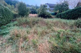 Grundstück zu kaufen in 57250 Netphen, Voll erschlossenes Baugrundstück in ruhiger Lage von Netphen-Grissenbach - 660 m²