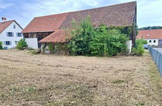 Grundstück zu kaufen in 86672 Thierhaupten, großz. teilerschl. Baugrundstück in Thierhaupten ohne Bauzwang!