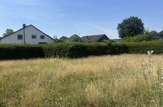 Grundstück zu kaufen in 74360 Ilsfeld, Ein Platz zum Bauen im Herzen von Ilfeld!