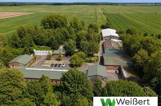 Immobilie kaufen in 25566 Rethwisch, Raum für große Visionen – Gewerbe, Pferde & Wohnen auf beeindruckenden 81.473 m² Eigenland