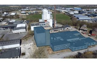 Gewerbeimmobilie kaufen in Schleidörfer Straße 3-5, 24837 Schleswig, Denkmalgeschütztes Gewerbeobjekt mit 5.534 m² Grundstück und 2.263 m² Nutzfläche