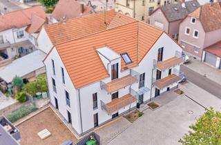 Wohnung kaufen in 76756 Bellheim, ++ ERSTBEZUG NACH SANIERUNG ! 3 ZKBBalkon im 1.OG eines Mehrparteienhauses! ++
