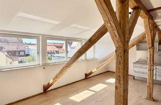 Wohnung mieten in 09599 Freiberg, Wohnen über den Dächern von Freiberg – außergewöhnliche Dachgeschosswohnung mit Galerie , Kamin & Ei
