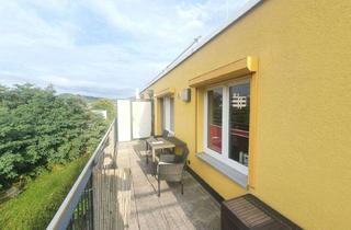 Wohnung mieten in Felsenkellerstraße a.A., 07745 Süd, Dachterrasse, PKW-Stellplatz, kleine EBK - modernes 1-Zimmerapartment mit toller Ausstattung!
