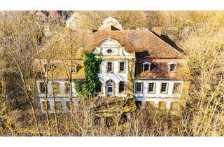Haus kaufen in 91471 Illesheim, HEGERICH: Denkmalgeschütztes Schloss mit viel Potential in Illesheim