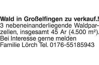 Grundstück zu kaufen in 72415 Grosselfingen, Grundstück in Grosselfingen (72415)