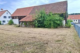 Immobilie kaufen in 86672 Thierhaupten, großz. teilerschl. Baugrundstück in Thierhaupten ohne Bauzwang!