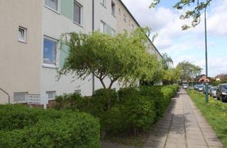 Wohnung mieten in Haydnstraße 42, 14772 Brandenburg, Nachmieter gesucht...Möbelübernahme möglich