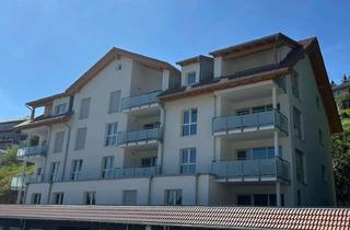Wohnung mieten in Meierhofweg, 79837 St. Blasien, Top Wohnung Neubau mit Blick auf den Dom in St. Blasien (3)
