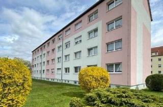 Wohnung mieten in 04668 Grimma, Frisch sanierte 2 Raumwohnung mit Tageslichtbad