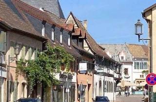 Wohnung mieten in 67146 Deidesheim, 6er WG im Zentrum von Deidesheim -WG-Zimmer Nr. 5