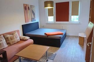 Wohnung mieten in Dr.-Wilhelm-Külz-Straße 20, 07950 Zeulenroda-Triebes, möblierte 1-Raum-Wohnung mit Blick ins Grüne