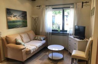 Wohnung mieten in Hauptstraße 92, 55246 Mainz-Kostheim, möbliertes Apartment mit kleiner Terrasse in Mainz-Kostheim ab sofort zu vermieten