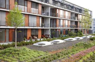 Wohnung mieten in Otto-Schott-Straße, 60438 Frankfurt, Exklusive Singlewohnung mit Balkon im Riedbergzentrum