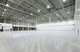 Gewerbeimmobilie mieten in 72108 Rottenburg, Moderne Bestandshalle mit ca. 8.000 m2 Mietfläche - sofort verfügbar mit Rampen - an der A81